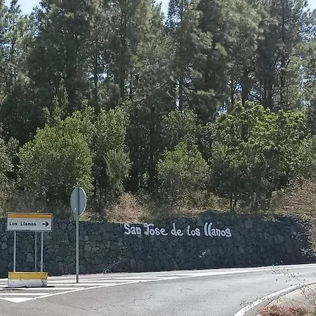 Almacigo San Jose De Los Llanos